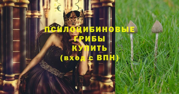 apvp Балабаново