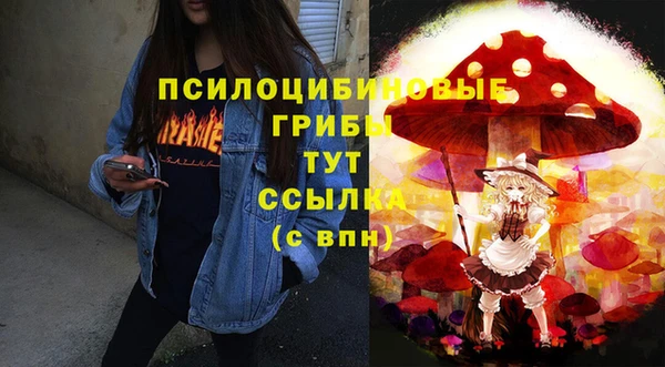 винт Чегем