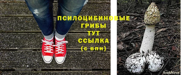 apvp Балабаново