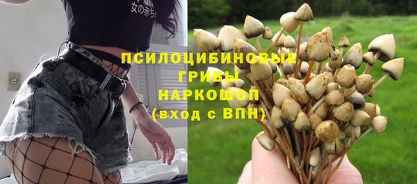 прущие крисы Армянск