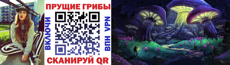 МЕГА вход  Курган  мориарти официальный сайт  Галлюциногенные грибы GOLDEN TEACHER 