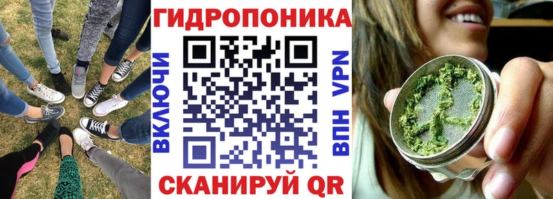 Шишки марихуана SATIVA & INDICA  где купить наркоту  Курган 